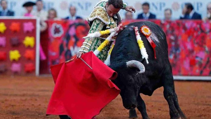 Vuelven las corridas de toros a la Plaza México en CDMX