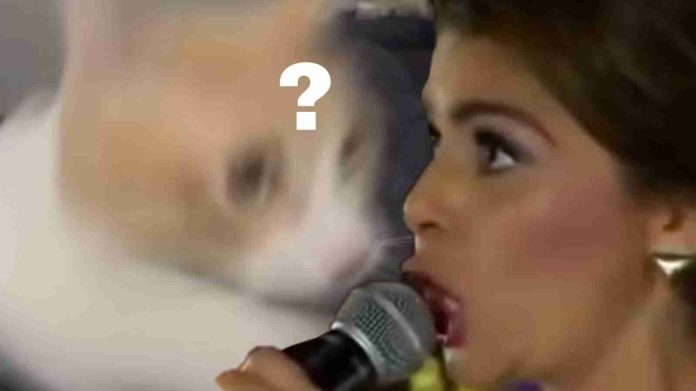#Video: Michis reaccionan a 'La Guadalupana' de Itati Cantoral