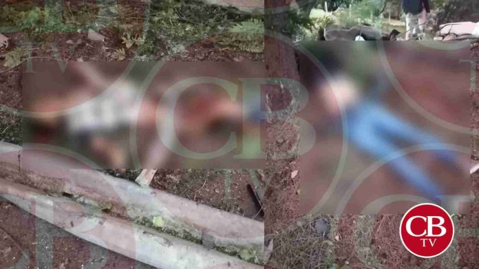 Imágenes fuertes: Camioneta y chófer se parten a la mitad en Tingüindin