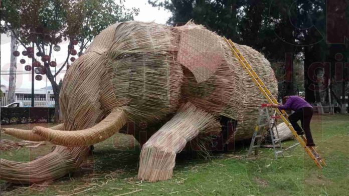 Pareja de abuelitos son responsables de crear el nacimiento monumental de Ceconexpo