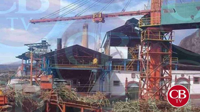 Muere trabajador en Ingenio azucarero de Pedernales