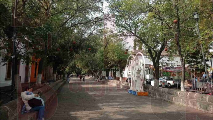 Se retiraron 547 toneladas de basura en el Cañafest 2023