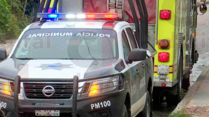 Abejas pican a 6 niños y dos adultos en Morelia