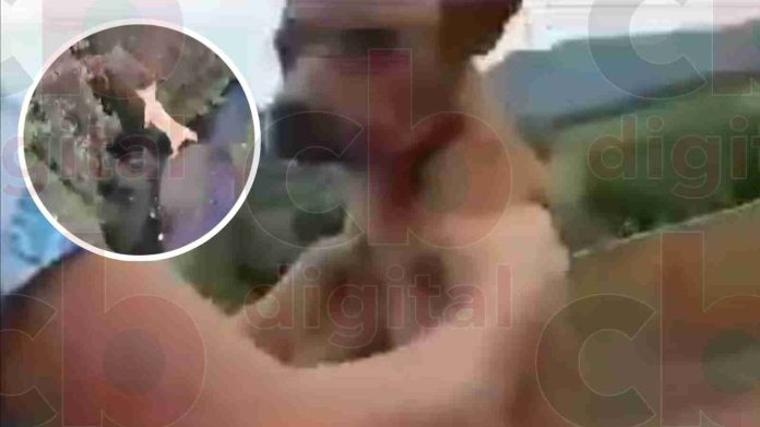 Imágenes fuertes: Adolescente lanza a perrito desde un puente a un río en Peribán