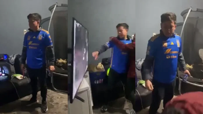#Video: Aficionado de Tigres rompe su tele por haber perdido y culpa al América