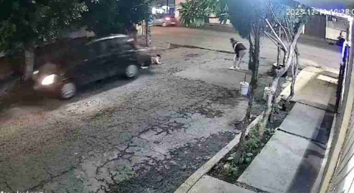 Conductor arrolla a mujer de la tercera edad, la arrolló dos veces