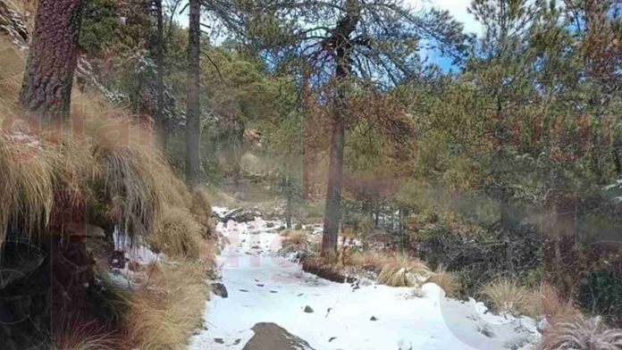 En Michoacán habrá heladas y temperaturas de hasta -5 grados este fin de semana