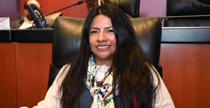 Senadora Indira Kempis renuncia a bancada de Movimiento Ciudadano