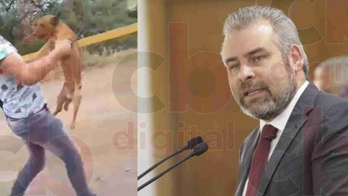 En Michoacán, sin tolerancia a la violencia animal, afirma Ramírez Bedolla