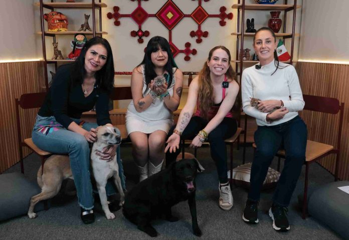 ’’Es mejor adoptar’’: Claudia Sheinbaum destaca la importancia de rescatar animales en situación de calle