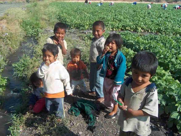 Se construirá en 2024 primer Centro de Justicia para niños, niñas y adolescentes en Michoacán