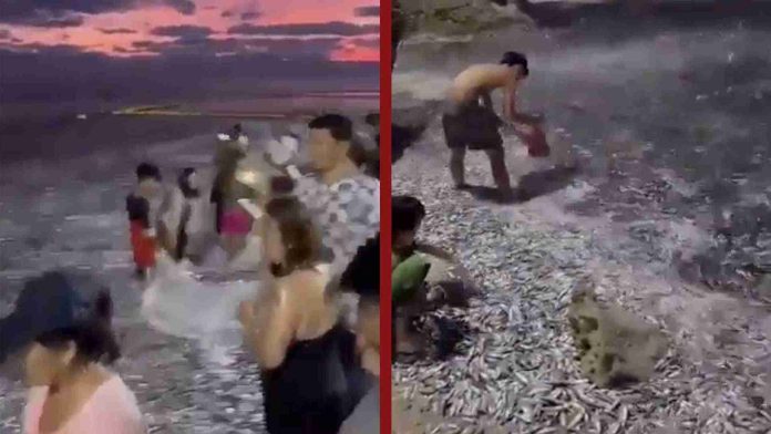 Captan extraño fenómeno en playas de Filipinas justo antes de registrarse un sismo