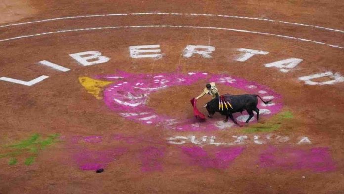 Jueza suspende las corridas de toros en la Plaza México