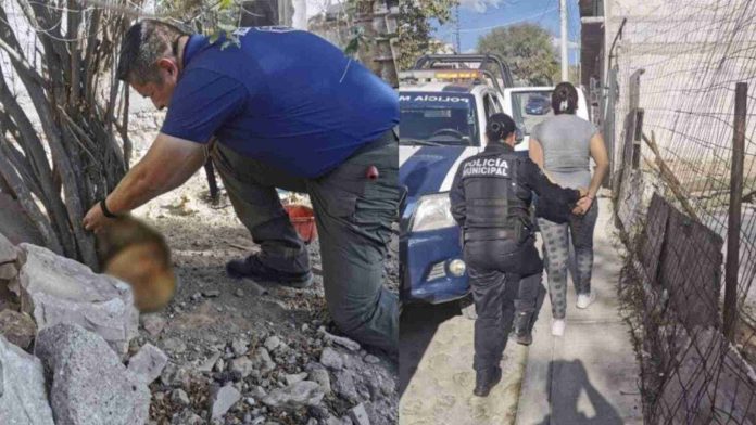 Mujer deja a su perro morir de hambre amarrado de un árbol
