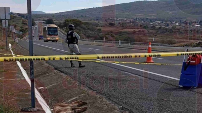 Auto mata a un Puma en Michoacán