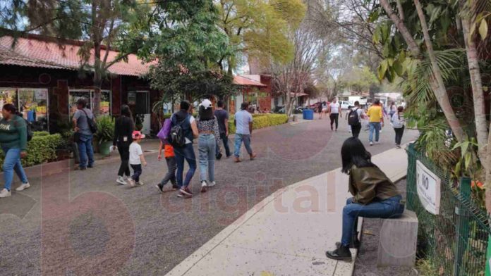 A $85 sube entrada del Zoológico de Morelia, por familia van gastando hasta $340