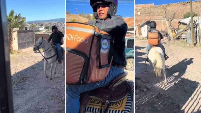Repartidor se vitaliza por hacer entregas a caballo
