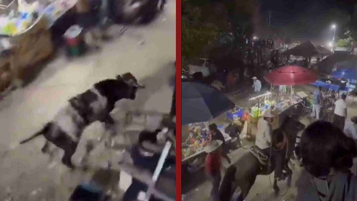 Toro causa pánico en feria al escaparse del ruedo