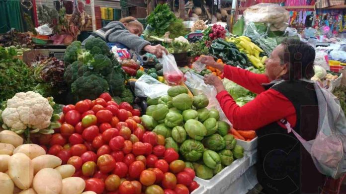 Aumento del jitomate a $50 el kilo es por cambio climático: comerciantes morelianos