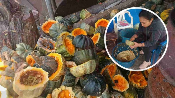 La preparación de semillas de calabaza, motor económico de familias de Cuto del Porvenir
