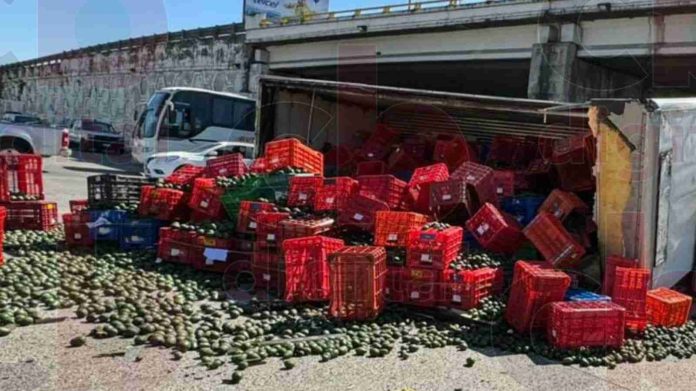 Un camión que transportaba varias toneladas de aguacate, terminó volcado en el boulevard Industrial, la policía evitó que se hicieran actos de rapiña.