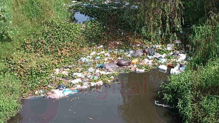 Denuncian tiradero y cúmulos de basura en río grande