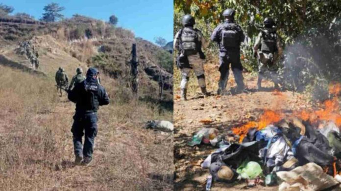 SSP, Sedena y GN desmantelan 2 narcocampamentos en Aquila