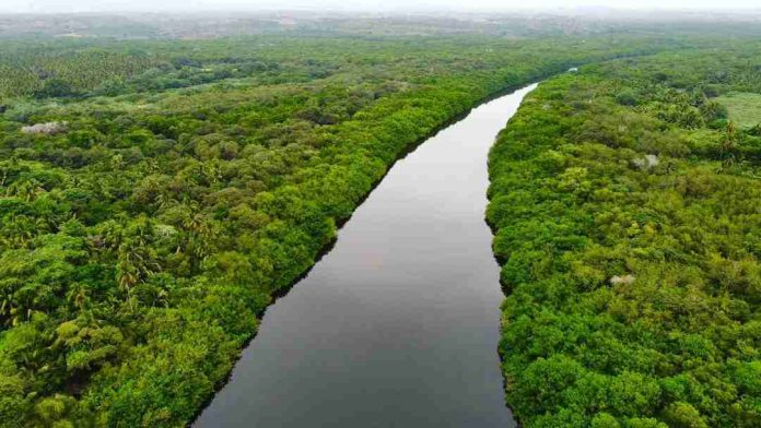 Invitan a Ciclo de Ponencias “Los Humedales y el Bienestar Humano”