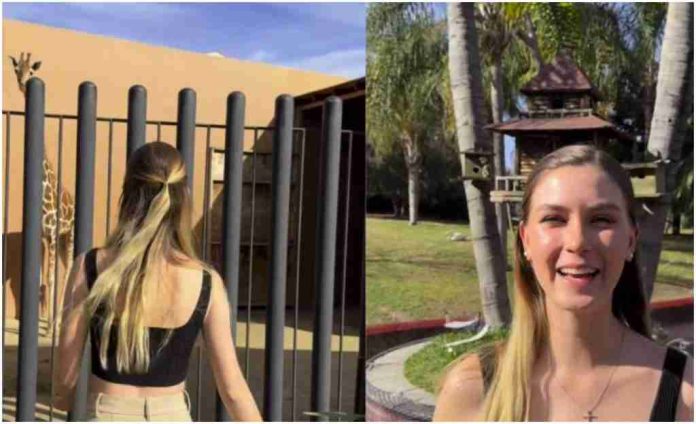 Critican a hija de Jorge Hank por presumir a jirafa en su casa