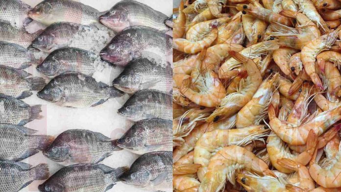 Decomisarán pescados y mariscos en establecimientos de Michoacán si no cumplen con condiciones adecuadas