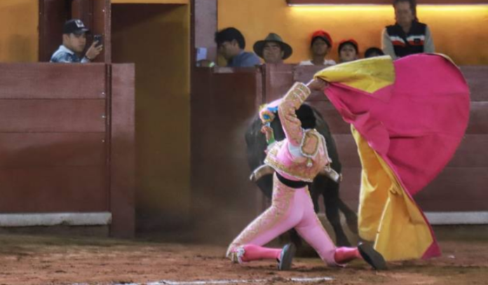 Torero José Alberto Ortega en terapia intensiva tras cornada y cirugía