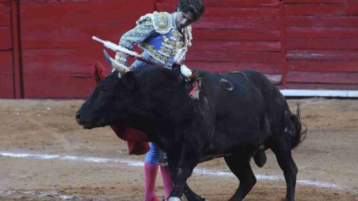 Niegan suspensión definitiva contra corridas de toros