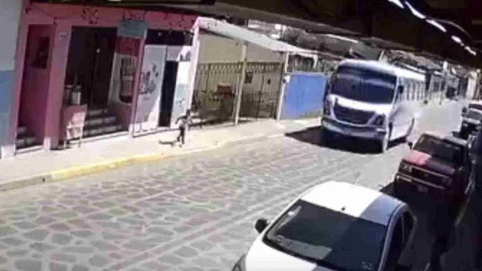 Niño es atropellado por camión tras salir corriendo en Veracruz