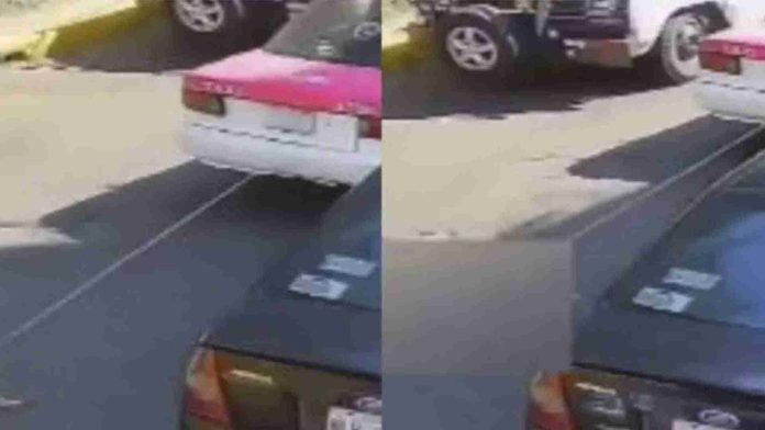 Taxista amarra y arrastra a perrito hasta dejarlo sin vida