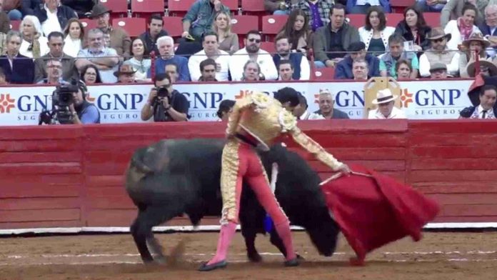 Torero Héctor Gutiérrez sufre cornada en la Plaza México