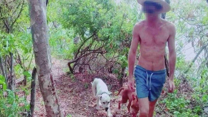 Tres perros atacan a niño en Oaxaca; dueño los sacrifica