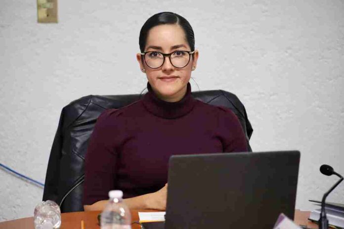 Aprueba IEM financiamiento privado para partidos políticos en 2024