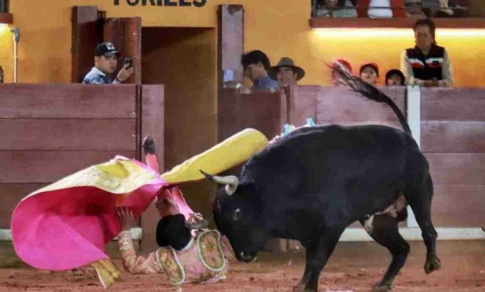 VIDEO: José Alberto Ortega en estado crítico tras cornada en Tlaxcala