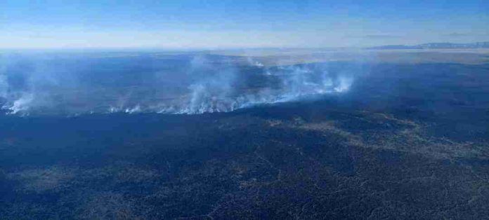 Temporada de incendios forestales se adelanta: ya van 20 siniestros en Michoacán