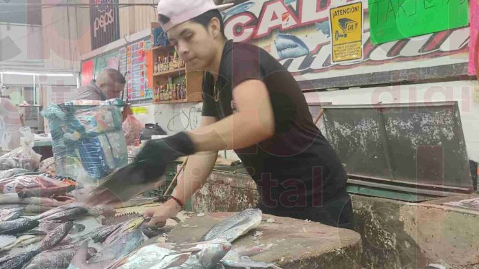 Oferentes de pescados y mariscos se preparan para la Cuaresma