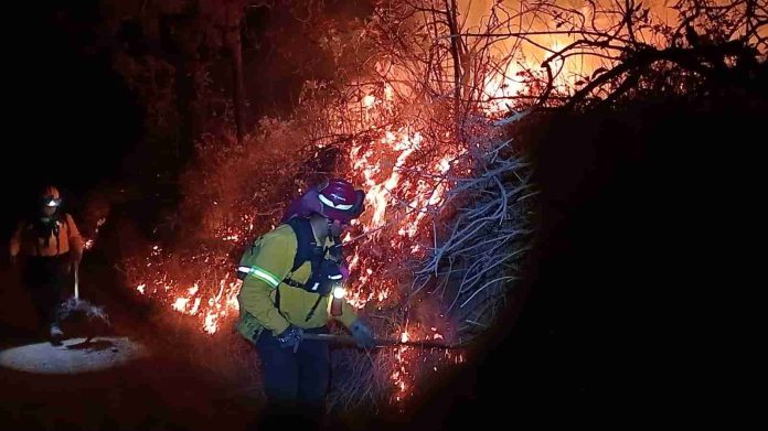 Brigadistas municipales controlan incendio forestal en la localidad El Ucaz