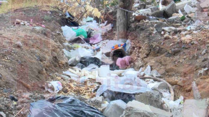 Preocupación Ciudadana: Terreno baldío en avenida Felipe Páramo se convierte en refugio de ratas y delincuentes