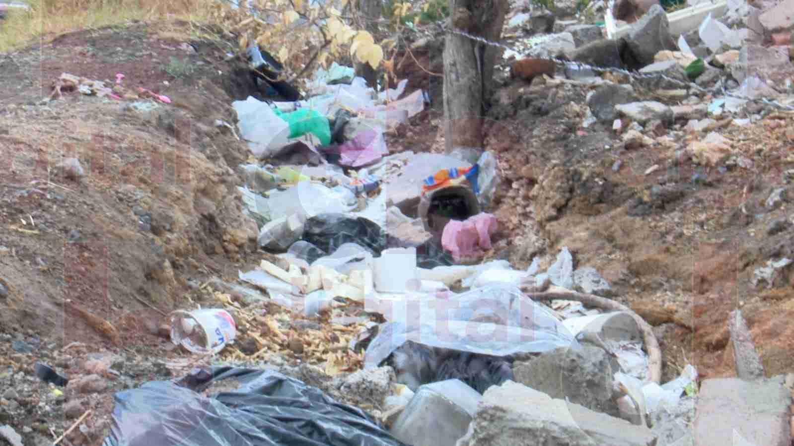 Preocupación Ciudadana: Terreno baldío en avenida Felipe Páramo se convierte en refugio de ratas y delincuentes Preocupación Ciudadana: Terreno baldío en avenida Felipe Páramo se convierte en refugio de ratas y delincuentes
