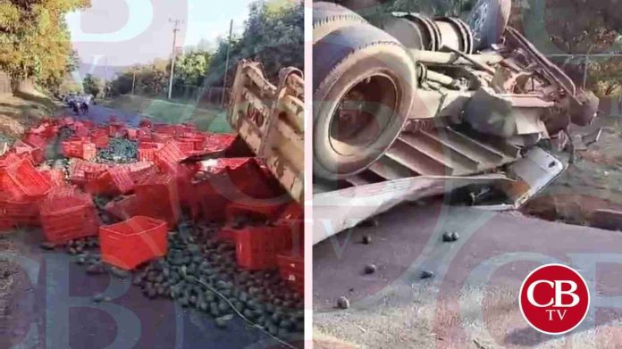 #Video: Se mata chofer al volcar camión cargado con aguacate