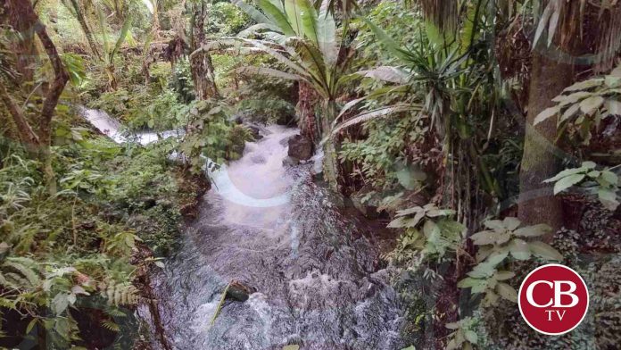 Se aproxima frente frío 36 a territorio nacional, generando bajas temperaturas en Michoacán