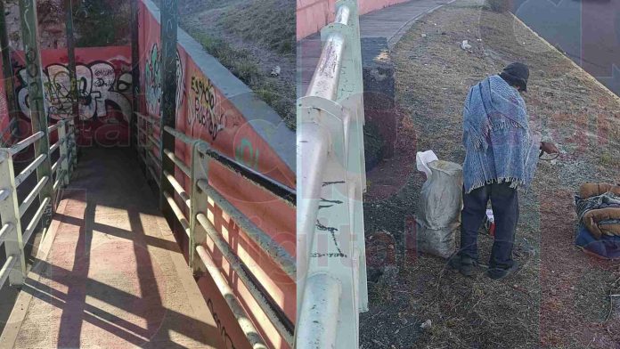 Hombre vive en la indigencia bajo puente