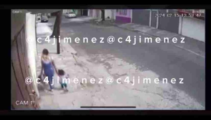 VIDEO: Captan momento en que mujer abandona a niña en la calle