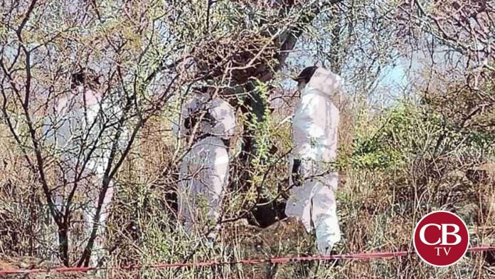 Sube a 15 cadáveres enterrados en Jacona