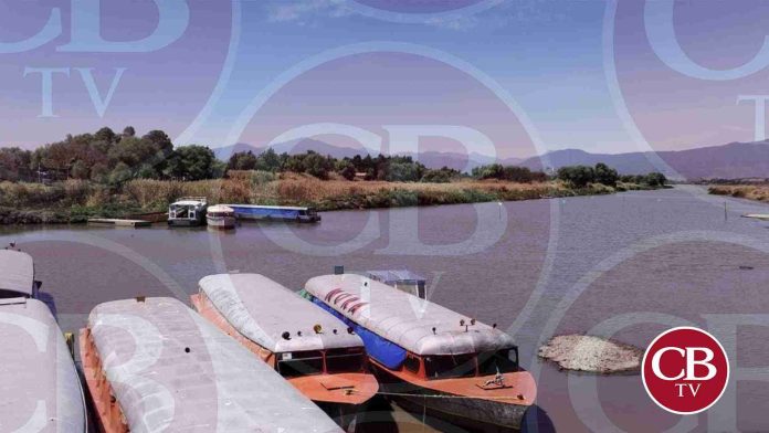 Agoniza el Lago de Pátzcuaro en Michoacán