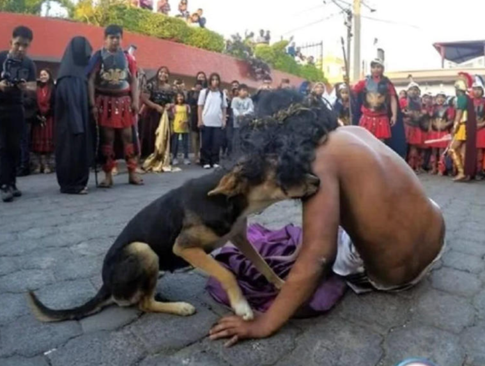 Perrito se mete a Viacrucis y consuela a actor ‘lastimado’